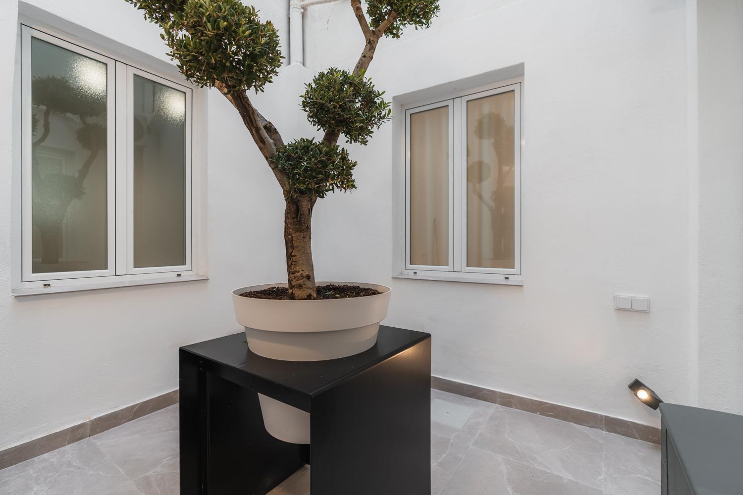 Tuguest Buensuceso Apartment Granada Kültér fotó
